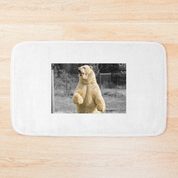 Item preview, Polar Bear Surveying His Surroundings designed and sold by LFPPhotography.
