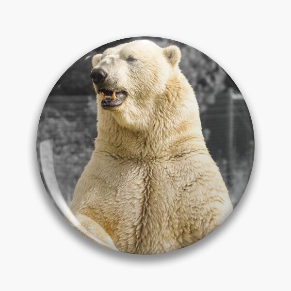 Item preview, Polar Bear Surveying His Surroundings designed and sold by LFPPhotography.