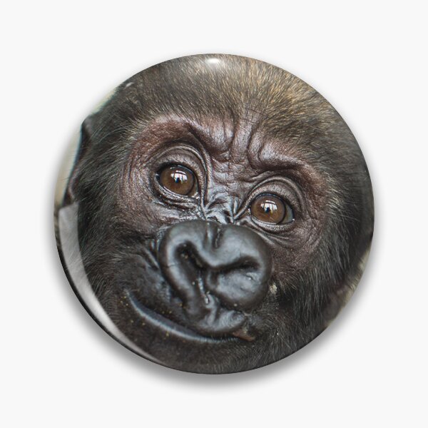 Item preview, Baby Gorilla 2023 Calendar For Monkeys & Gorilla Lovers designed and sold by designartmed.
