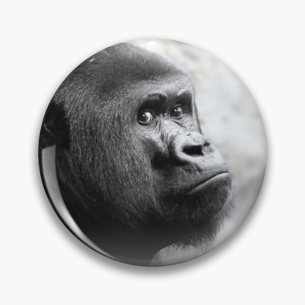 Item preview, Gorilla 2023 Calendar For Monkeys & Gorilla Lovers designed and sold by designartmed.