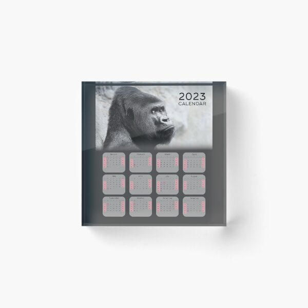 Item preview, Gorilla 2023 Calendar For Monkeys & Gorilla Lovers designed and sold by designartmed.