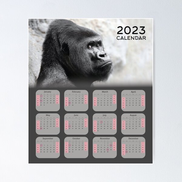 Item preview, Gorilla 2023 Calendar For Monkeys & Gorilla Lovers designed and sold by designartmed.