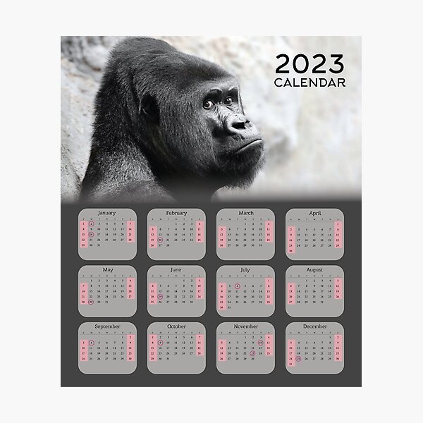 Item preview, Gorilla 2023 Calendar For Monkeys & Gorilla Lovers designed and sold by designartmed.