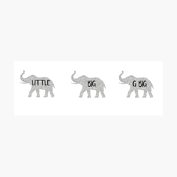 Big Little G Big Elephants Photographic Print