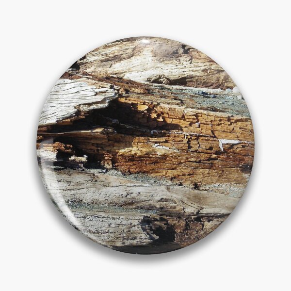 Item preview, Crawling up the driftwood designed and sold by FHJArtandPhoto.