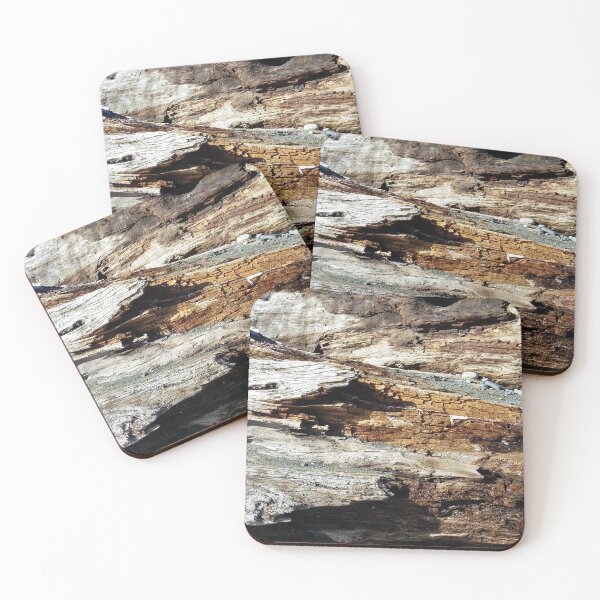 Item preview, Crawling up the driftwood designed and sold by FHJArtandPhoto.