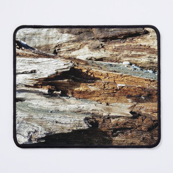 Item preview, Crawling up the driftwood designed and sold by FHJArtandPhoto.