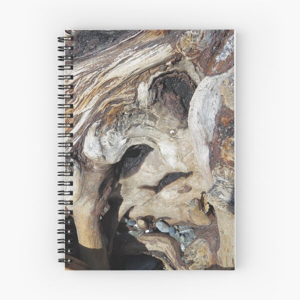 Item preview, Drifter's resting spot designed and sold by FHJArtandPhoto.