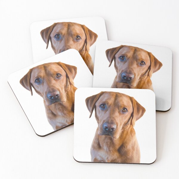 Item preview, Stunning Fox Red Labrador  designed and sold by DexterFRL.