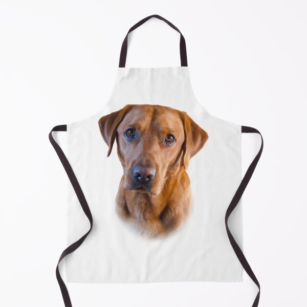 Item preview, Stunning Fox Red Labrador designed and sold by DexterFRL.