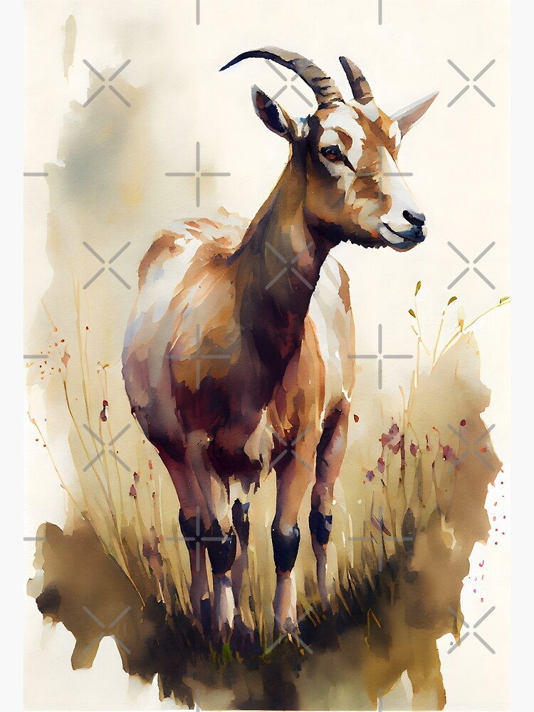 Watercolor Brown and White Goat in a Pasture | Photographic Print