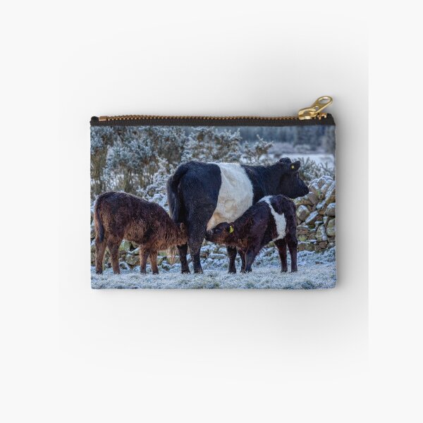 Item preview, Belted Galloways Feeding Time in Winter designed and sold by derekbeattie.