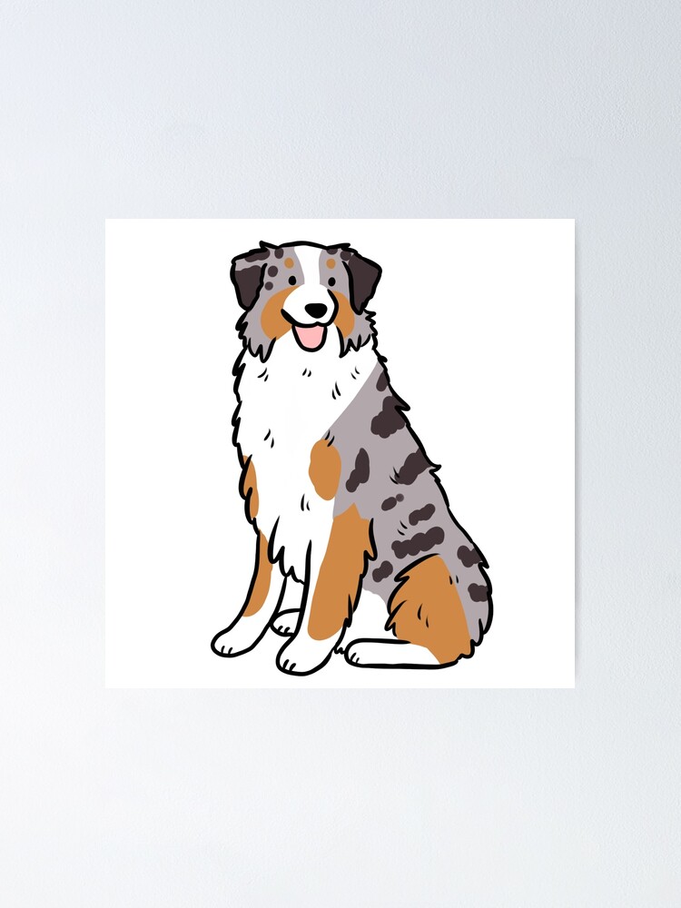 Australian shepherd cute illustration blue merle