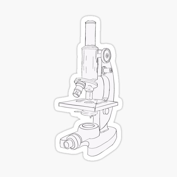 How to draw Microscope diagram for beginners - step by step - YouTube