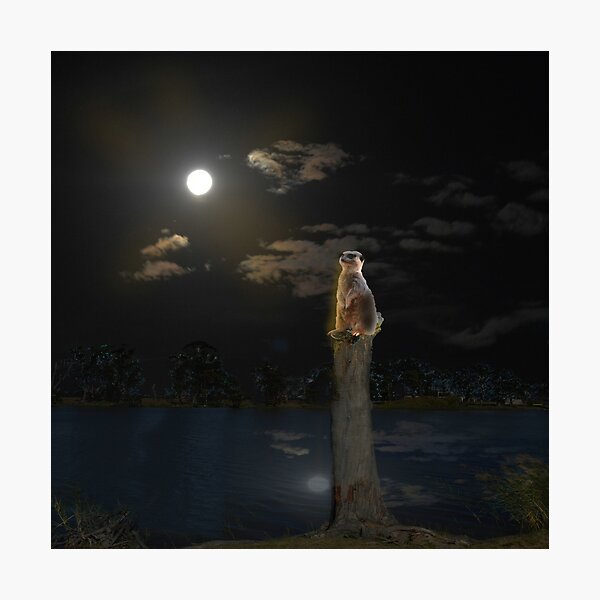 Item preview, "Midnight Watch: Meerkat on Duty" designed and sold by A-Work-Of-Art.