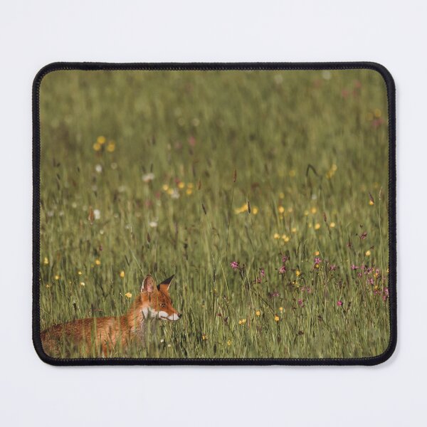 Item preview, Focus on designed and sold by lekcefaustwild.
