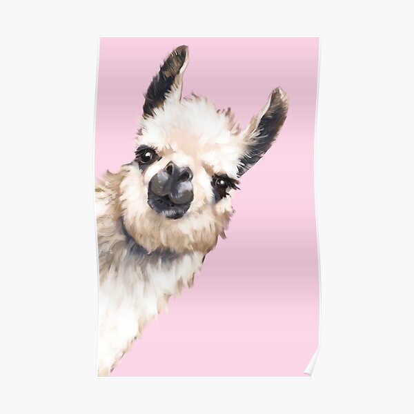Sneaky Llama Poster