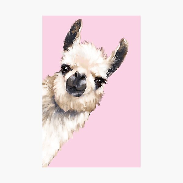 Sneaky Llama Photographic Print