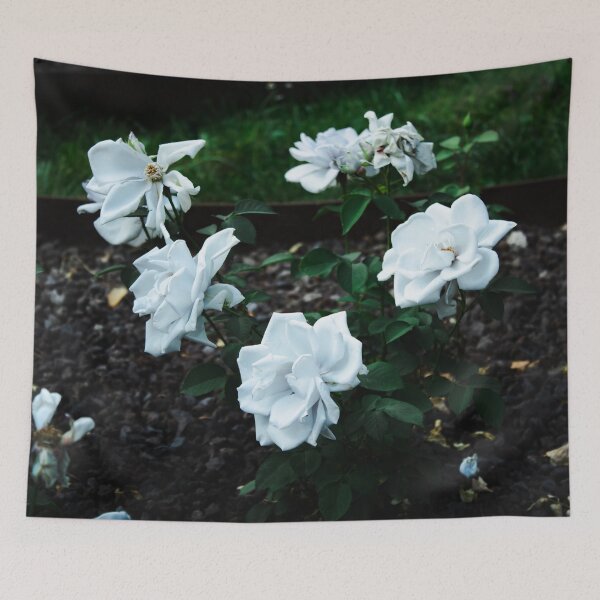 Item preview, Coloma Garden White roses designed and sold by nastiaart.