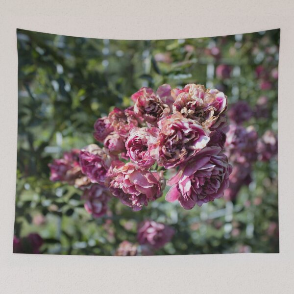 Item preview, Coloma Garden Pink Roses Shrubs designed and sold by nastiaart.