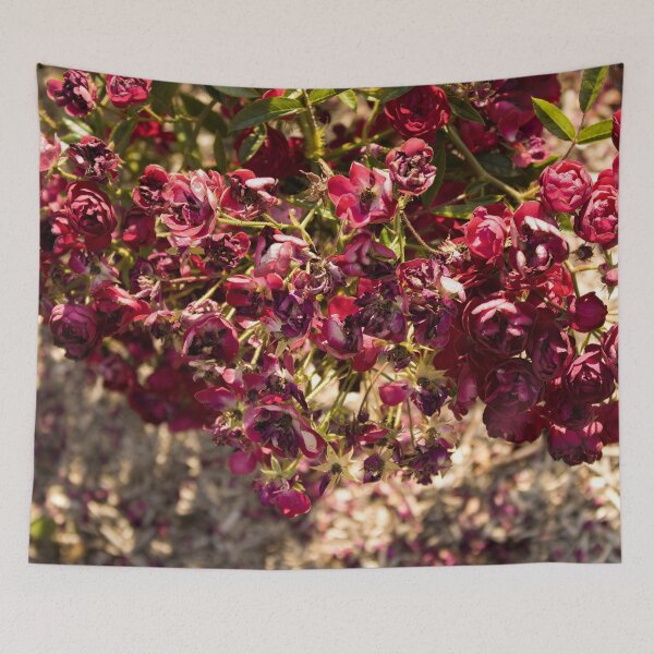 Item preview, Coloma Garden Red Roses Shrubs 1 designed and sold by nastiaart.