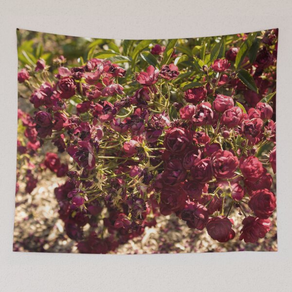 Item preview, Coloma Garden Red Roses Shrubs 2 designed and sold by nastiaart.