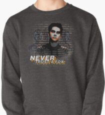 Never Trust A Fox Pullover