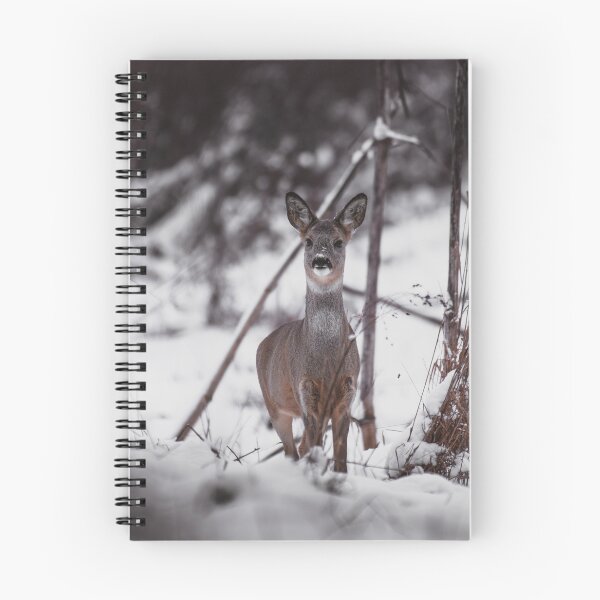 Item preview, Roe deer designed and sold by lekcefaustwild.