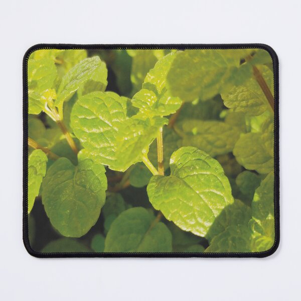 Item preview, Fresh Mint  designed and sold by Florrinda.