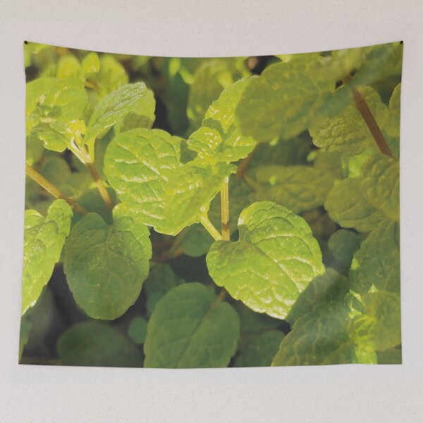 Item preview, Fresh Mint  designed and sold by Florrinda.