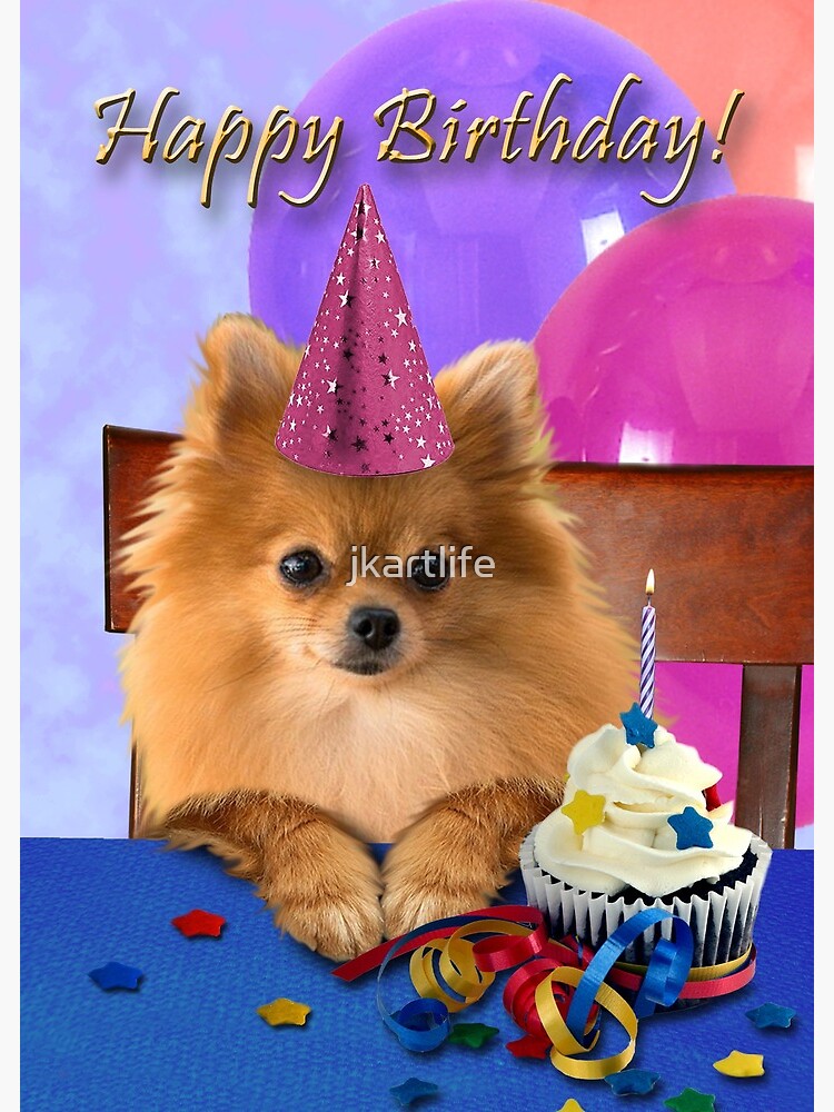 pomeranian birthday
