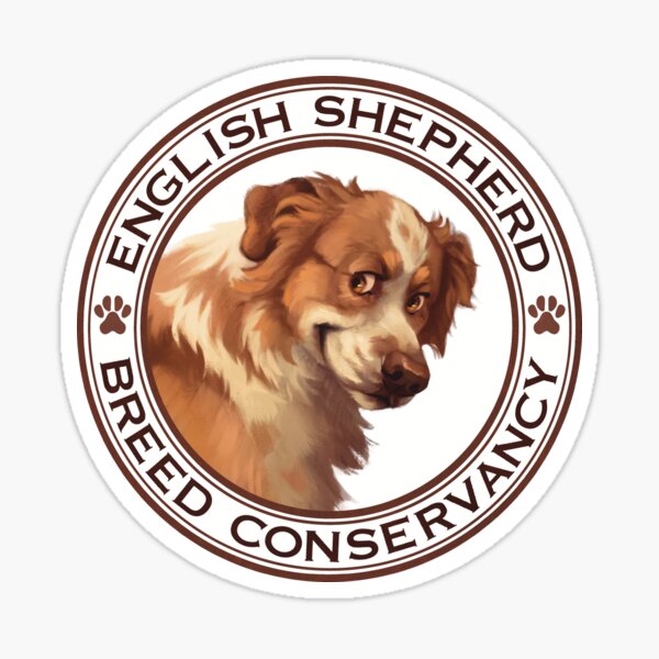 English Shepherd Breed Conservancy Circle- Clear Sable Sticker