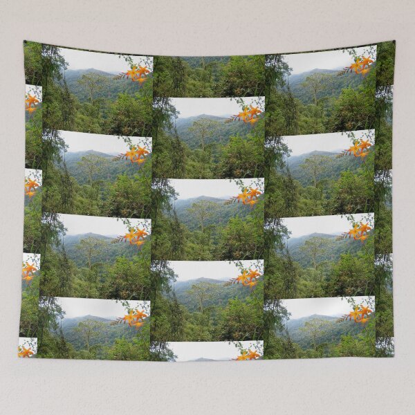 Item preview, Springbrook National Park designed and sold by MardiGCalero.