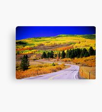 Fall Over 12 Canvas Print