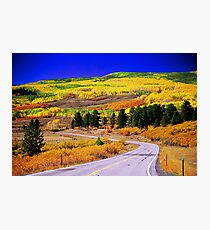 Fall Over 12 Photographic Print