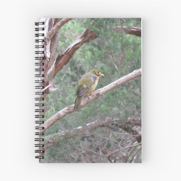 Item preview, Bell miner on a branch designed and sold by greentiger1.