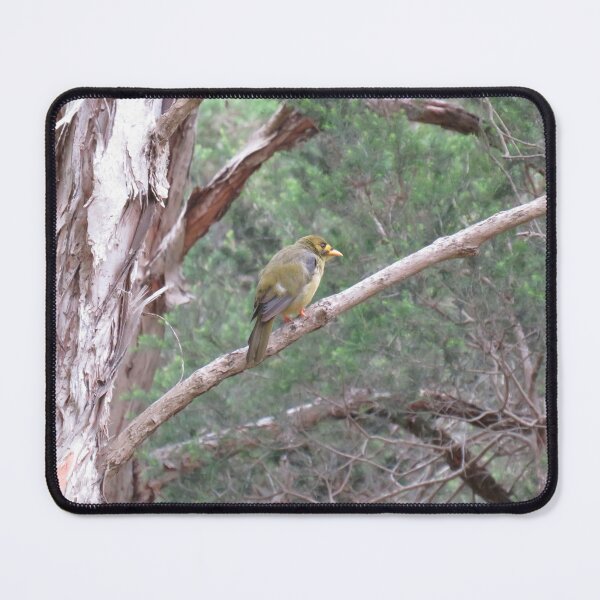 Item preview, Bell miner on a branch designed and sold by greentiger1.