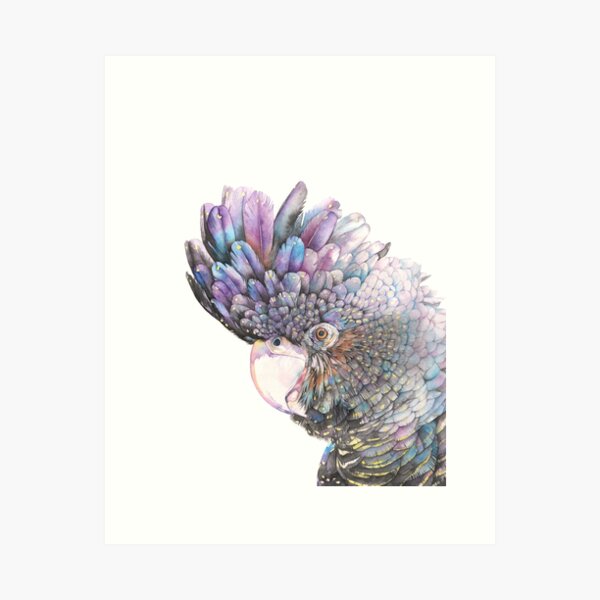 Item preview, Black Cockatoo designed and sold by Louise De Masi.