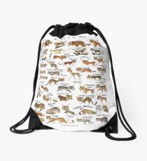 Wild Cats of the World Drawstring Bag