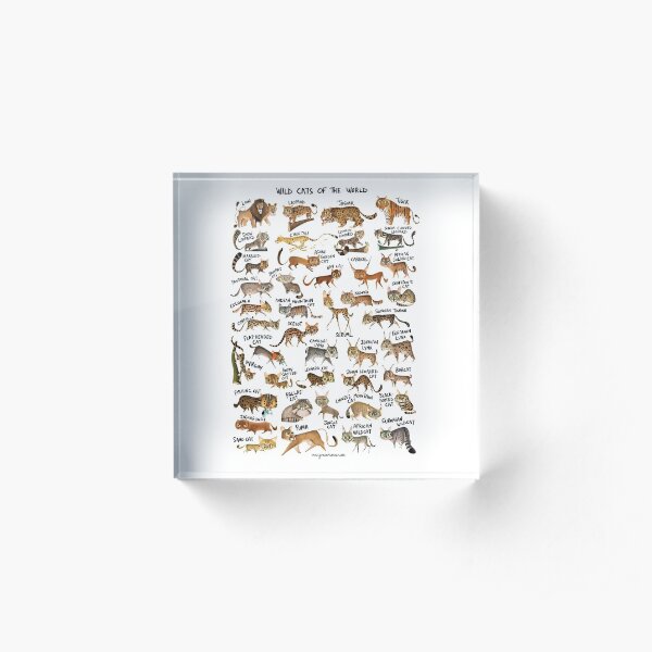 Wild Cats of the World Acrylic Block