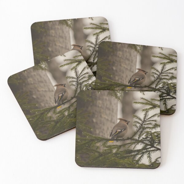 Item preview, A bohemian waxwing on a pine tree branch designed and sold by carolmaia.
