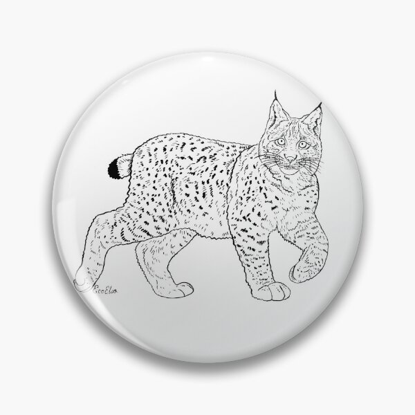 Artikelvorschau, Kanada-Luchs-Zeichnung - Luchs, nordamerikanische Wildkatze - weißer Hintergrund entworfen und verkauft von EcoElsa.