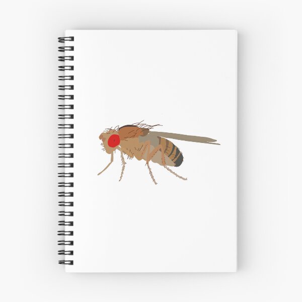 Item preview, Drosophila  designed and sold by Pocketsodders.