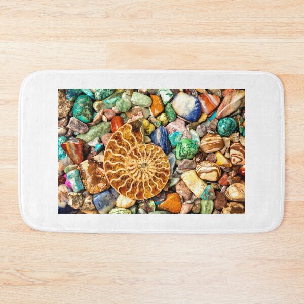 Item preview, Fossilized Nautilus Shell On Polished Stones designed and sold by Garry Gay.