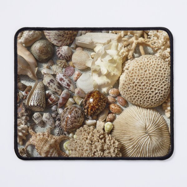 Item preview, mi colección de conchas designed and sold by John Legry.