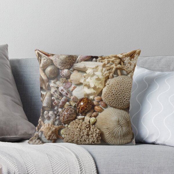 Item preview, my shell colection designed and sold by John Legry.