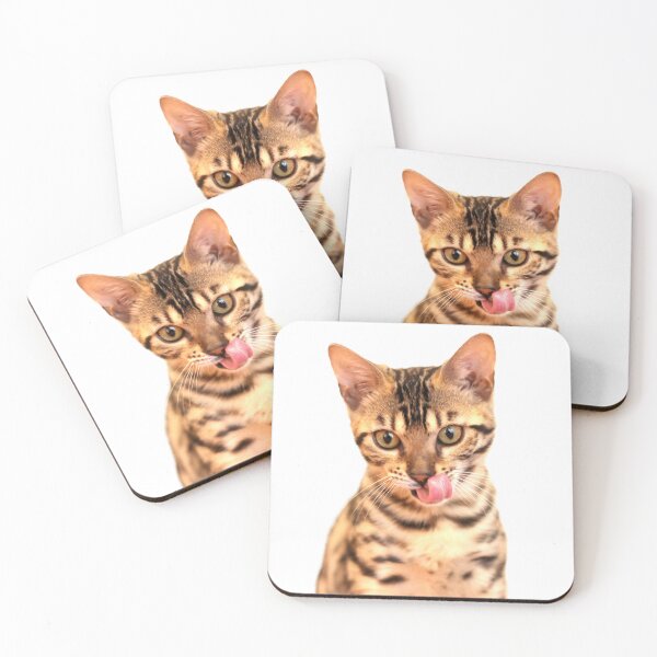 Item preview, Adorable 13 weeks old Bengal cat designed and sold by myhuskymax.