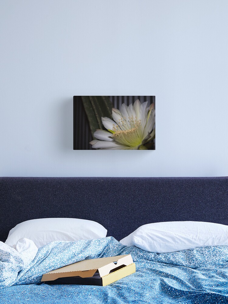 Thumbnail 1 of 3, Canvas Print, Cactus flower designed and sold by Andreas Koepke.