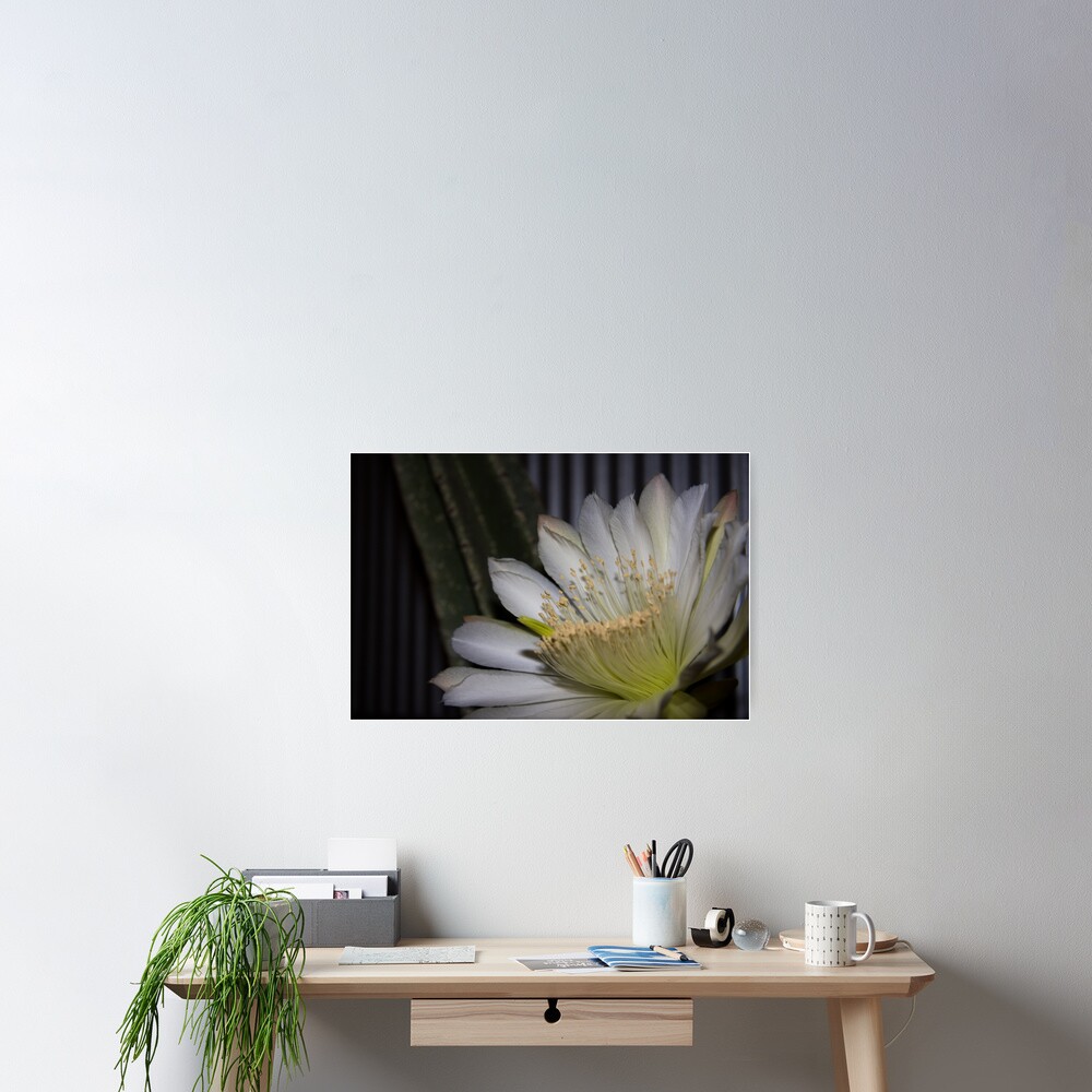 Item preview, Poster designed and sold by mistered.