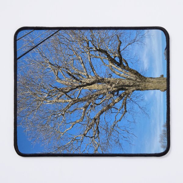 Item preview, Winter Tree designed and sold by Amanda1775.